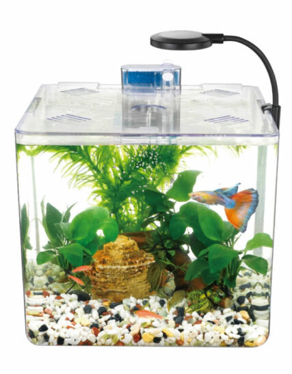 Kit mini aquarium nanbor avec système de filtrage et lampe led – Forsa-Store Tunisie