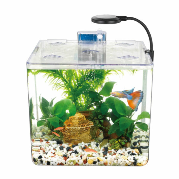 Kit mini aquarium nanbor avec système de filtrage et lampe led – Forsa-Store Tunisie