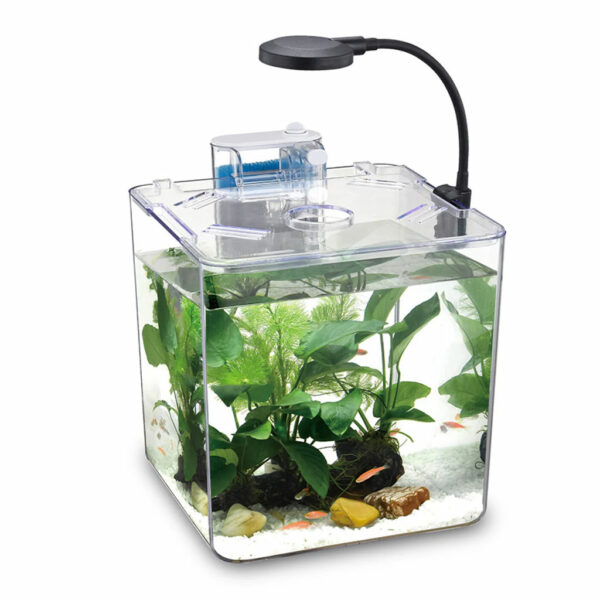 Kit mini aquarium nanbor avec système de filtrage et lampe led – Forsa-Store Tunisie