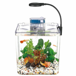 Kit mini aquarium nanbor avec système de filtrage et lampe led – Forsa-Store Tunisie