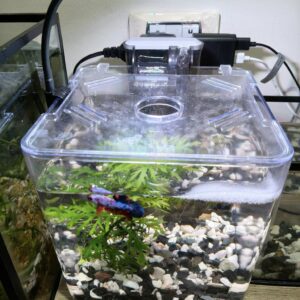 Kit mini aquarium nanbor avec système de filtrage et lampe led – Forsa-Store Tunisie