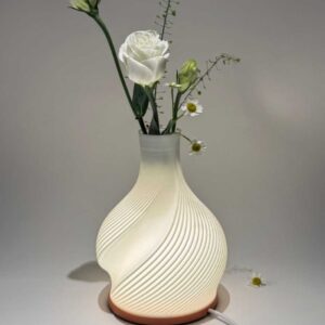 Vase Décoratif et Lampe LED Multicolore avec Batterie Intégrée - Forsa-Store Tunisie