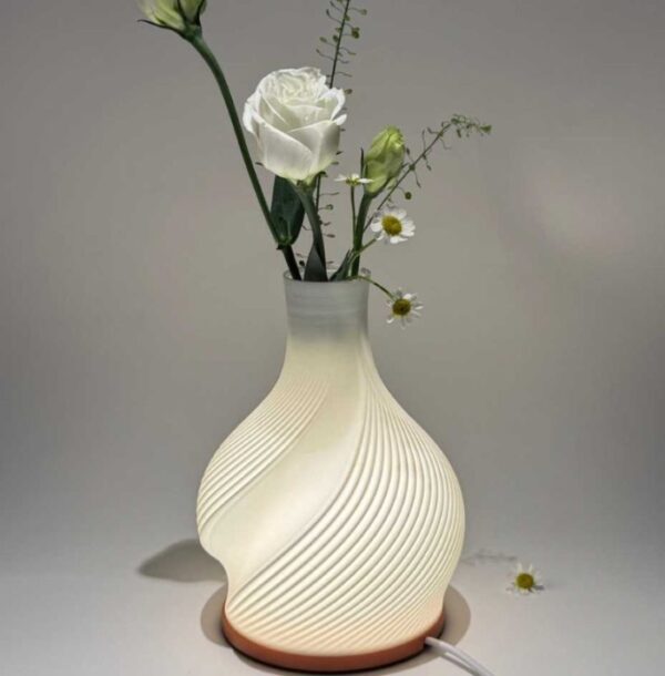 Vase Décoratif et Lampe LED Multicolore avec Batterie Intégrée - Forsa-Store Tunisie