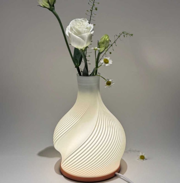 Vase Décoratif et Lampe LED Multicolore avec Batterie Intégrée - Forsa-Store Tunisie