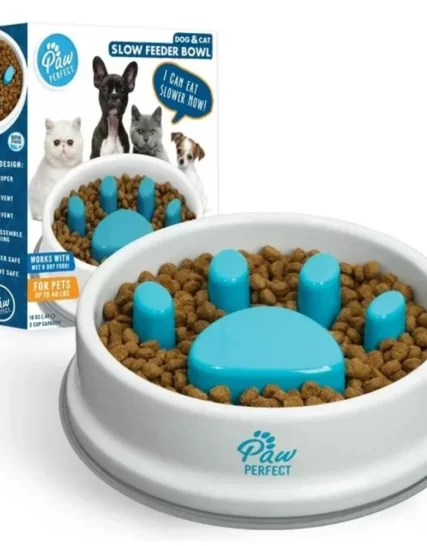 Bol Ralentisseur en Forme de Patte