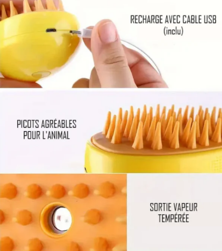 Brosse à Vapeur Electrique pour Chat et Chien