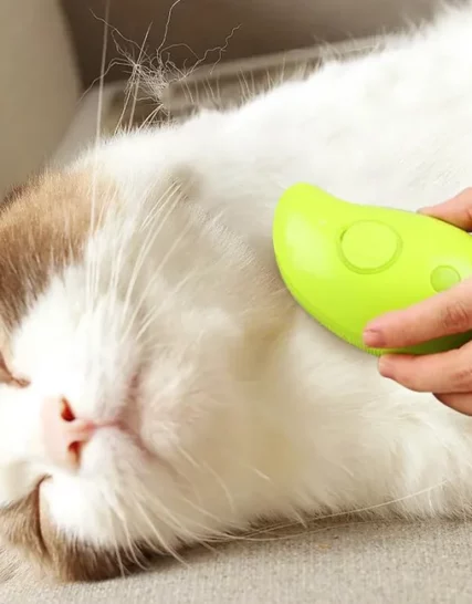 Brosse à Vapeur Electrique pour Chat et Chien