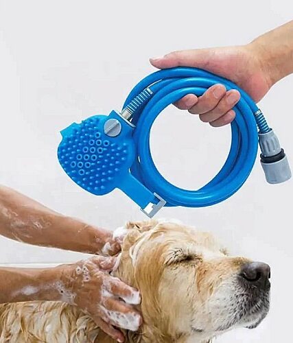 Brosse à gants pour animaux de compagnie