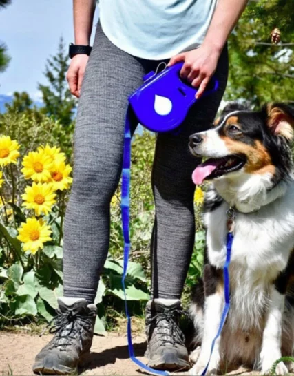 Laisse Rétractable existent 5 en 1 pour Chien et Chiot 1mt