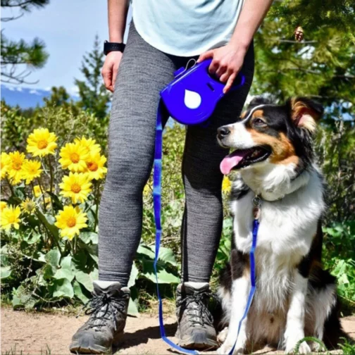 Laisse Rétractable existent 5 en 1 pour Chien et Chiot 1mt